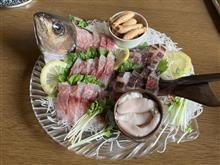 旬を迎えたイサキ釣りの巻・・(^^♪
