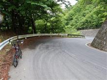 裏から足柄峠越え