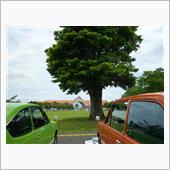 ゆめすぎと昭和平成自動車展示 ...