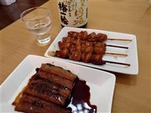気分は升席で相撲観戦