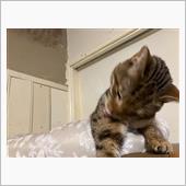 土砂降り過ぎてフロントガラス ...