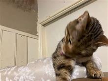 土砂降り過ぎてフロントガラス超綺麗になったわ