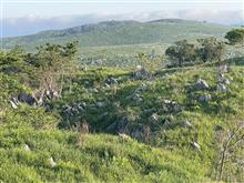  北陸・山陰・山口・四国 ツーリング ⑤