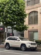 372個目のジープはグランドチェロキー白玉