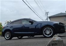 洗車〜車検見積もり。