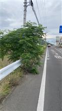 通報しました
