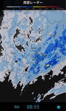 東京湾からチーバ君が集中的にイジメに遭ってます😱