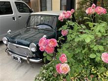 お花ちゃんですから。