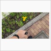 壊れちゃった、パートスリー( ...