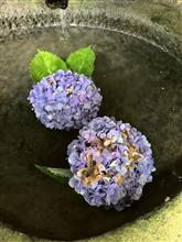 自己解釈