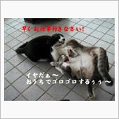 明日は…