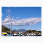 今日はニラを収穫してきた、＼ ...