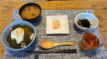 小田原から帰ってきました！