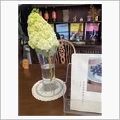 アジサイをお店に飾りました😊