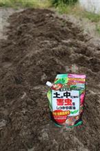 土の中の害虫対策