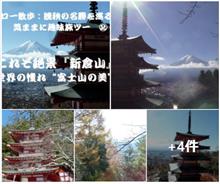 世界で愛される『富士山』ベストビューポイントへ　🗻