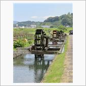 昨日から江川崎→四万十市と花 ...