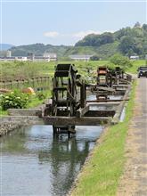 昨日から江川崎→四万十市と花を愛でて来ましたぁ〜😍