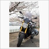 古くて不人気車種ですが良いバ ...