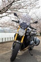 古くて不人気車種ですが良いバイクです。