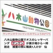 脱走相次ぐ(ΦωΦ)
