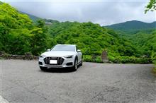 栃木・日光 ー九輪草を見にー! 栃木・日光 ー九輪草を見にー!