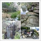 東大キャンバスうろちょろ・・ ...