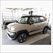 クロスビー納車完了