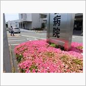 備忘録）またまた通院中！？
