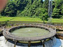 上市川・釈泉寺円筒分水槽へ (2024年)