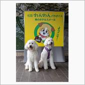 松阪わんわんパラダイスホテル ...