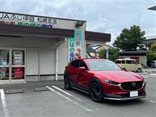 「セカチュー」ロケ地巡り（西伊豆・松崎）