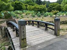 越生のあじさい山公園にドライブに行きました