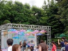 応燕活動2024⑨ 1-0 北海道日本ハム おじさんとレディースデー（笑）