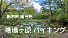奥日光　戦場ヶ原ハイキング