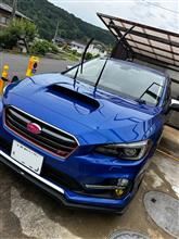 久々に洗車、小傷消しに挑戦！
