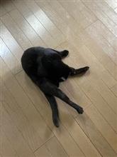 そしてパス２