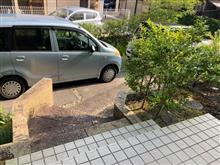 出撃致します(・∀・)ノ