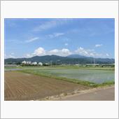 【散歩記録】あじさい散歩道にて