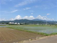 【散歩記録】あじさい散歩道にて