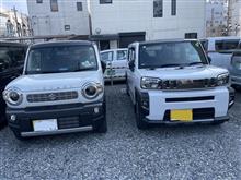 勝手にライバル　ハスラーとタフト