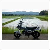 ワンコとお散歩