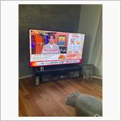 ピッタリ
