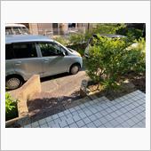 出撃致します(・∀・)ノ