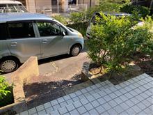 出撃致します(・∀・)ノ