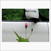 エアコン故障で