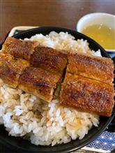 贅沢にも鰻丼来ました