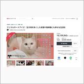 アニマルサードアイズ　クラウ ...