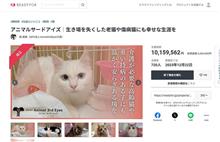 アニマルサードアイズ　クラウドファンディング