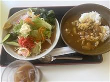 今日のランチ